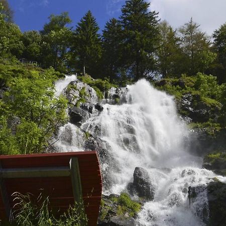 Waldloft Titisee Экстерьер фото