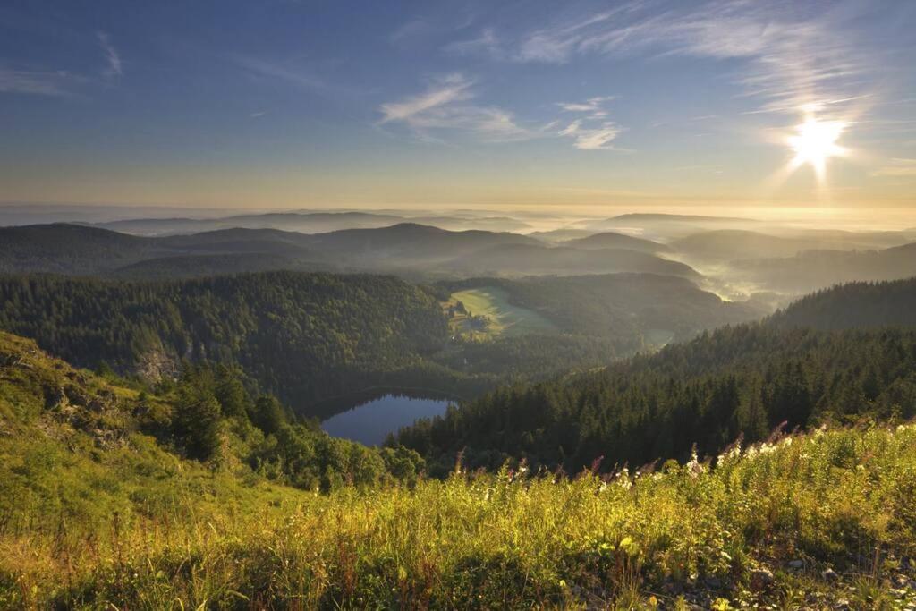 Waldloft Titisee Экстерьер фото