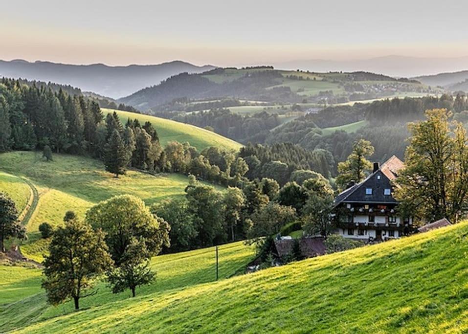 Waldloft Titisee Экстерьер фото